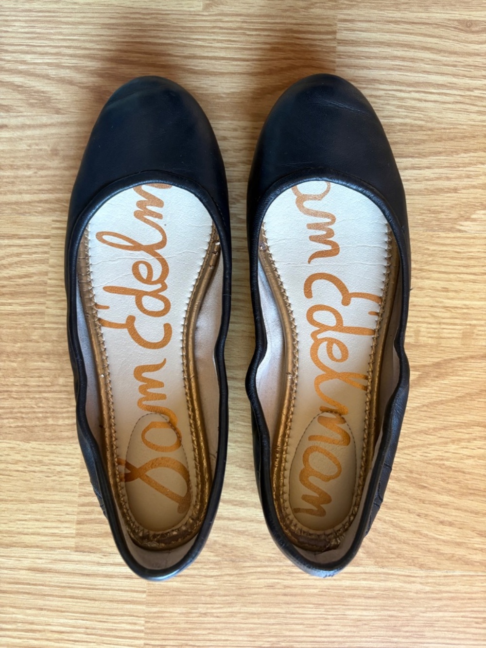 Sam Edelman Fritz Ballet Flat in Black Leather